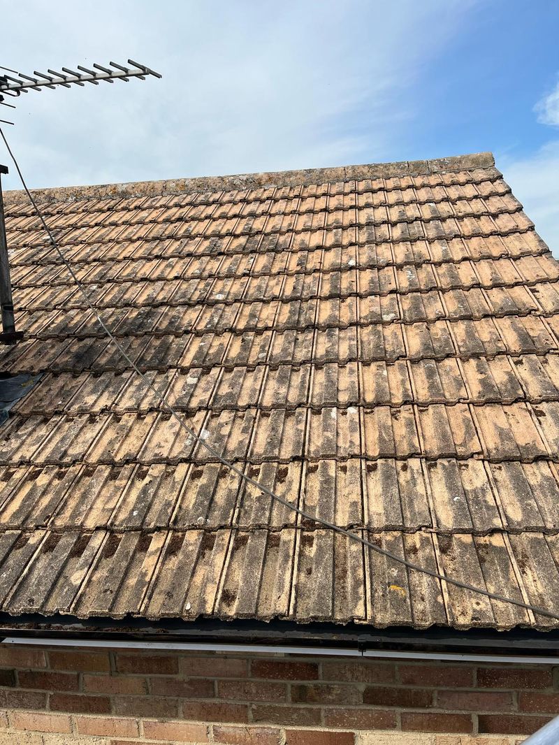 Final result after safe roof cleaning with no tile-walking